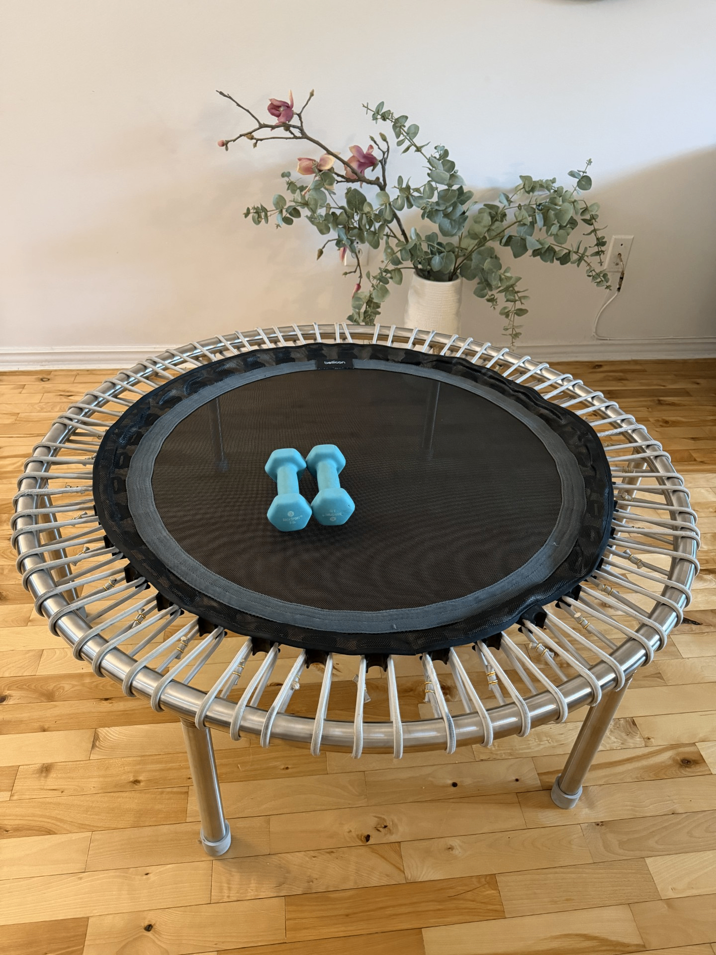 Fitness trampoline with light blue dumbbells and eucalyptus branches